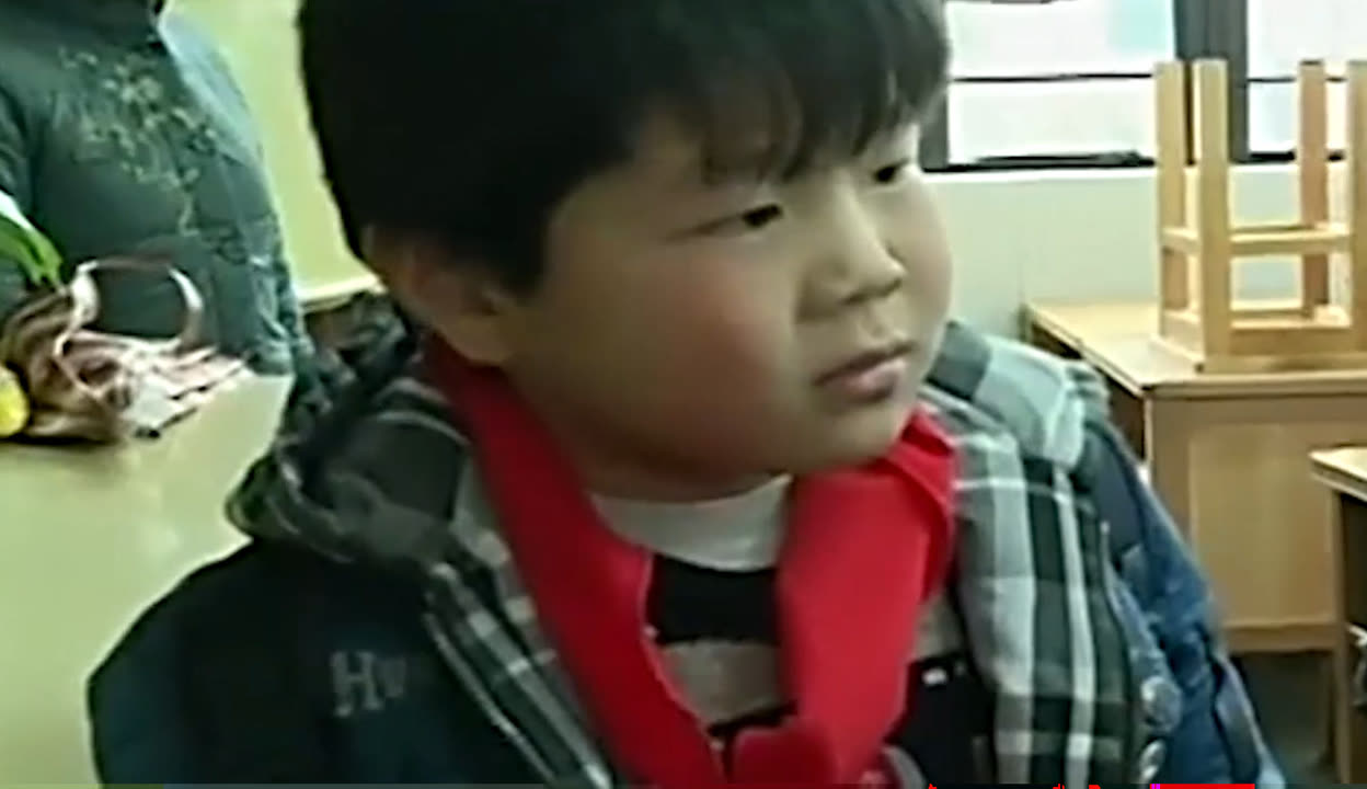 养家之人（原声版）