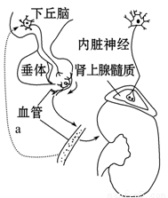 八卦风云之河图