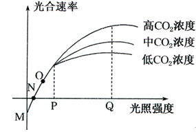 关于我母亲的一切