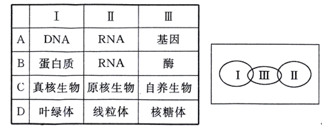 关于我母亲的一切
