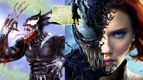 克莱拉与熊的秘密