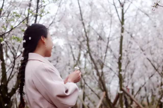 关于史蒂夫的一切