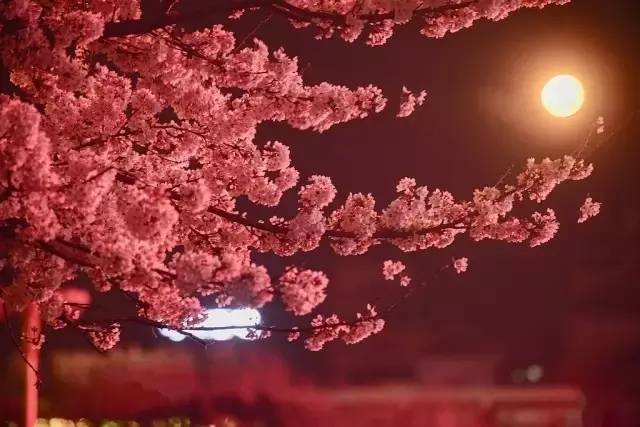 八十九分之一的凶手