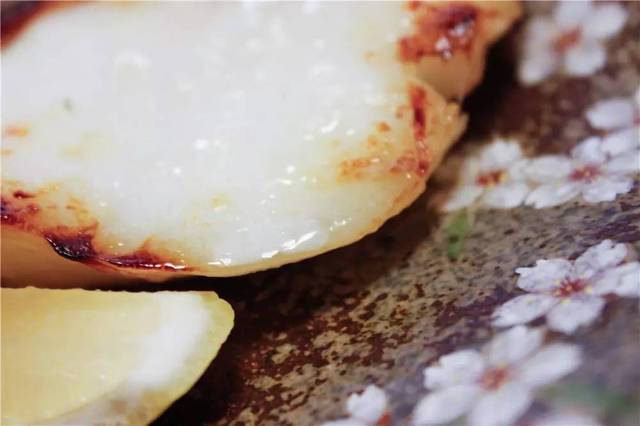 另一个波琳家的女孩