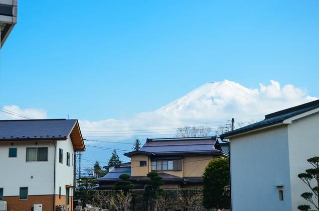 养蜂人 （英语版）