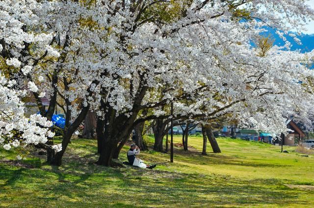兵荒马乱的爱情