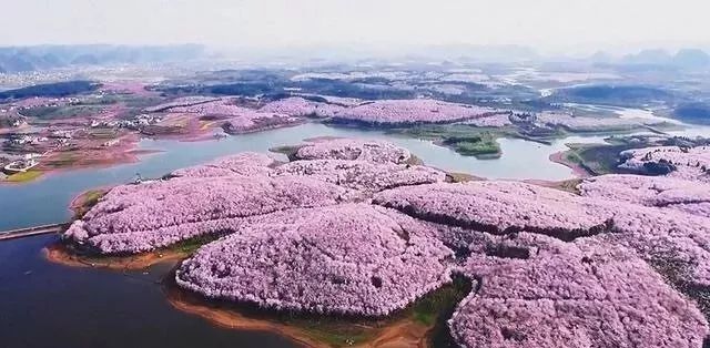 冲锋陷阵（国语版）