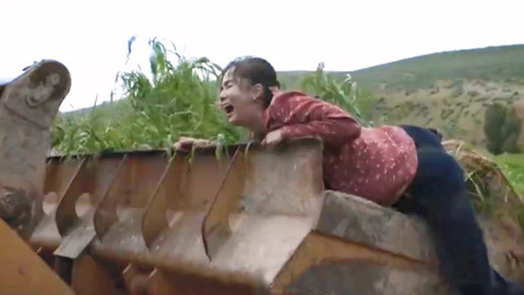 养家之人（原声版）