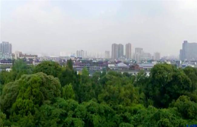 哈维的最后机会