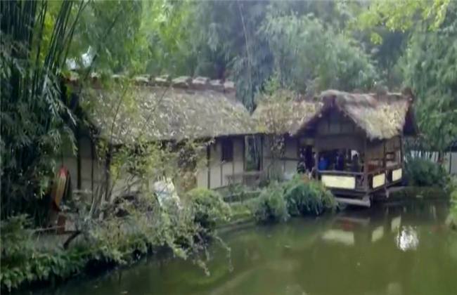 哈维的最后机会