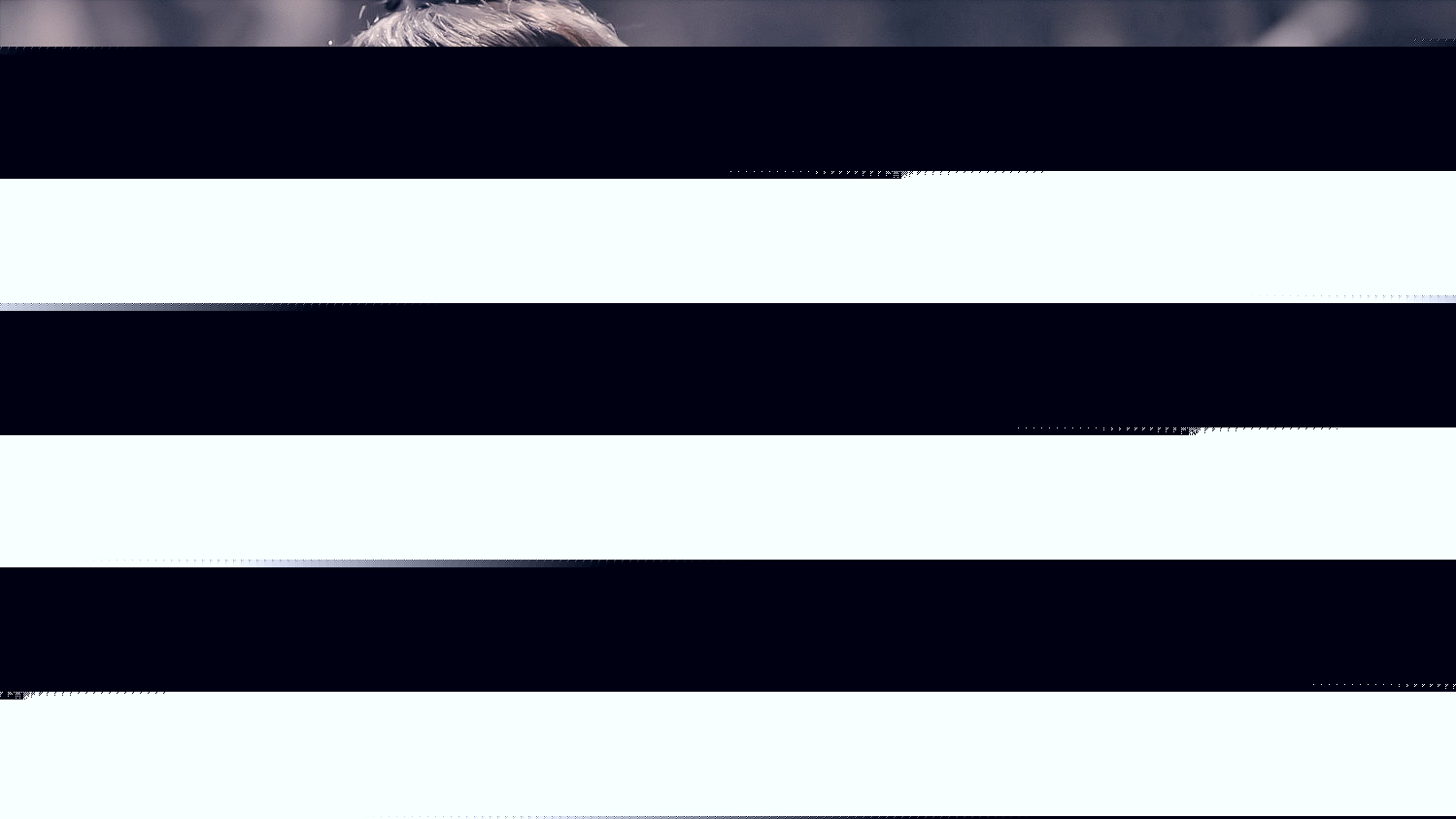 克莱拉与熊的秘密