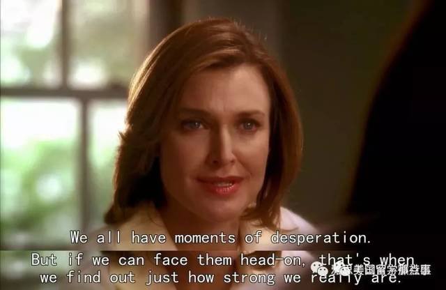 关于史蒂夫的一切