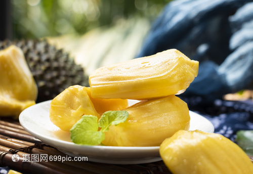 兰娅传奇（国语版）