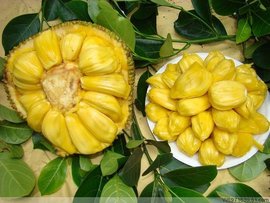 公主与青蛙(粤语版)