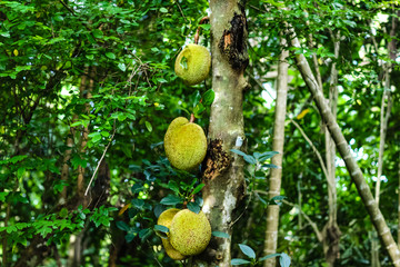 关于爱情和那些魔鬼