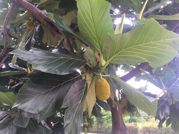 八面修罗之九重锁