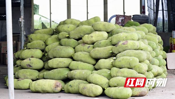 全面失控:私家侦探妈妈