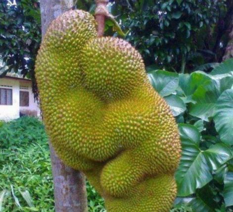 全面失控:私家侦探妈妈